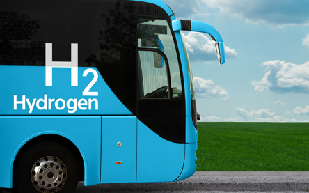 BayoTech_Buses BayoTech_Buses