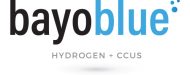 BayoBlue_With_Tagline